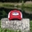 Red White Front
